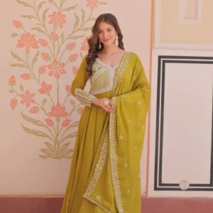 Mehendi green colour anarkali Suit Set - Traditional Haldi-Mehendi Special Outfit